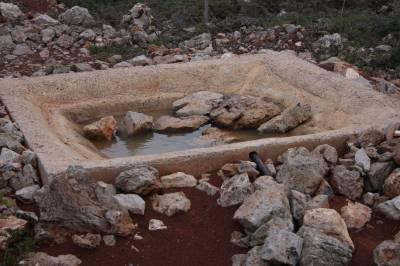 The artificial drink and bathing trough for Eleonora's Falcon