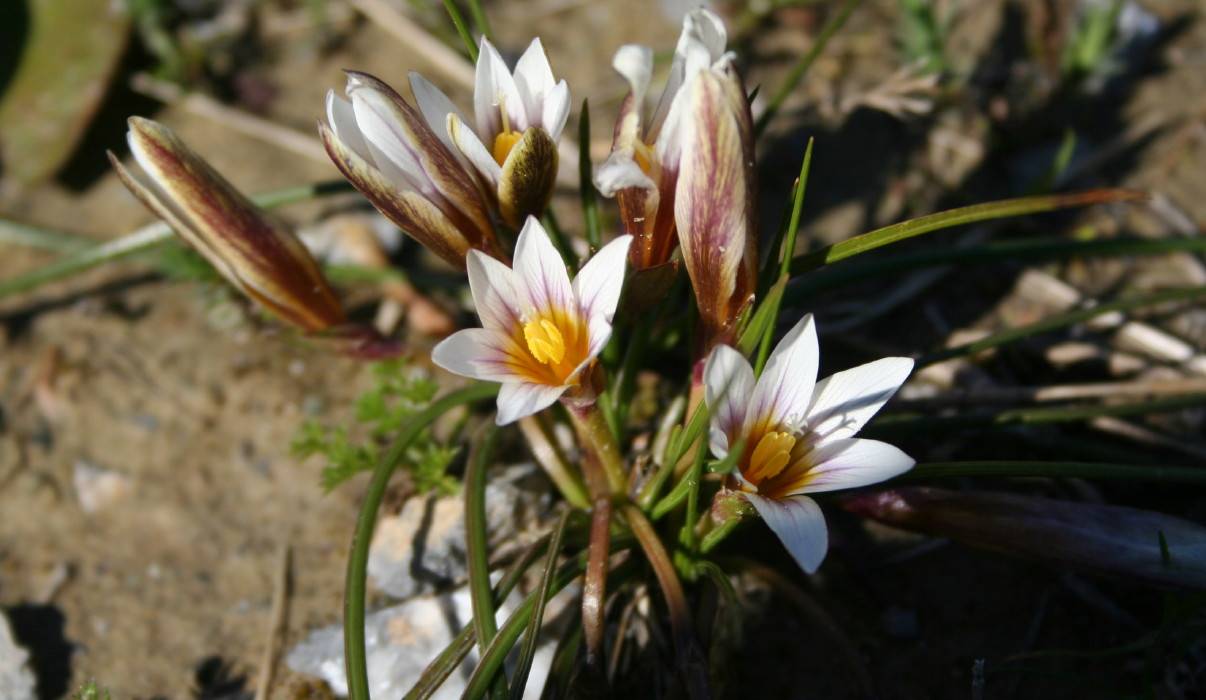 NEW 5TH APRIL 09