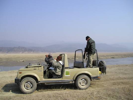 On safari Dhikala