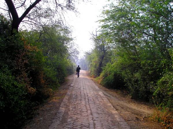 Walkway through Bharutpur