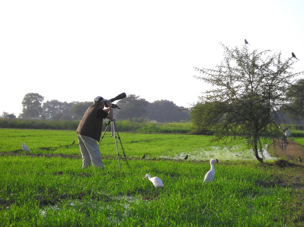 Colin and Shrike
