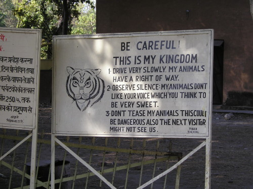 Tiger Rules OK