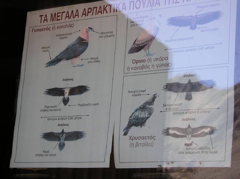 Vulture information board