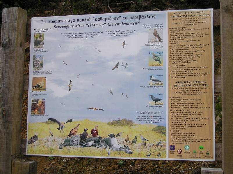 Vulture information board